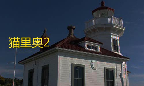 免费发卡网平台猫里奥2                    玩这个游戏你必须有这钢铁一般的意志